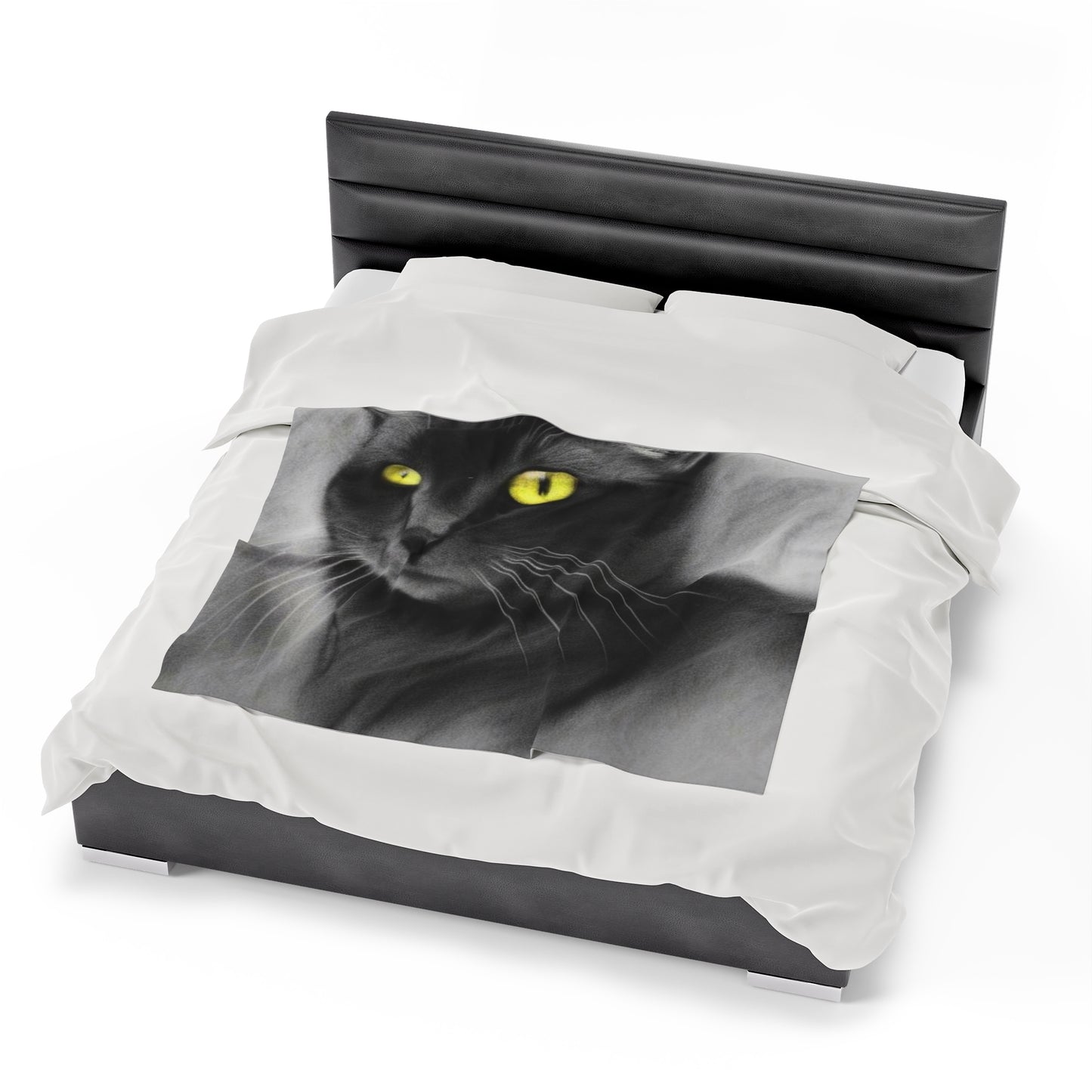 Velveteen Plush Blanket