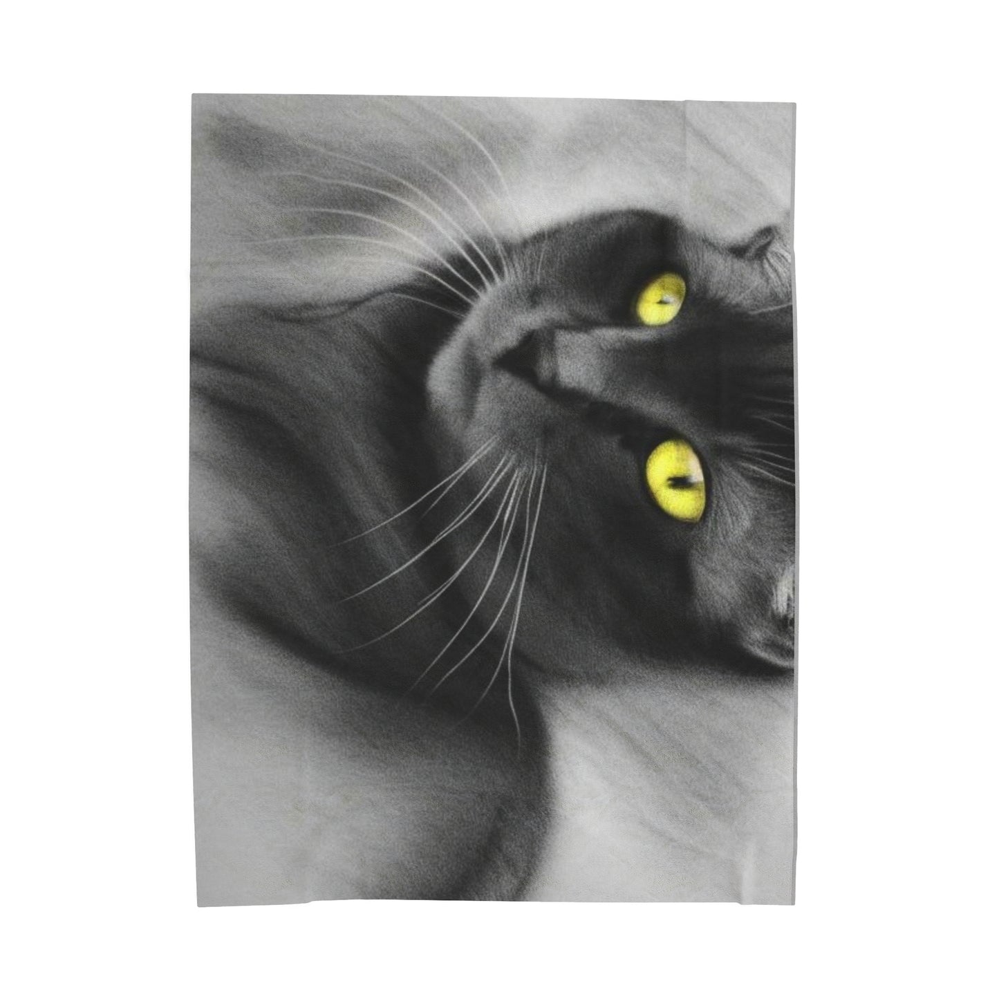 Velveteen Plush Blanket
