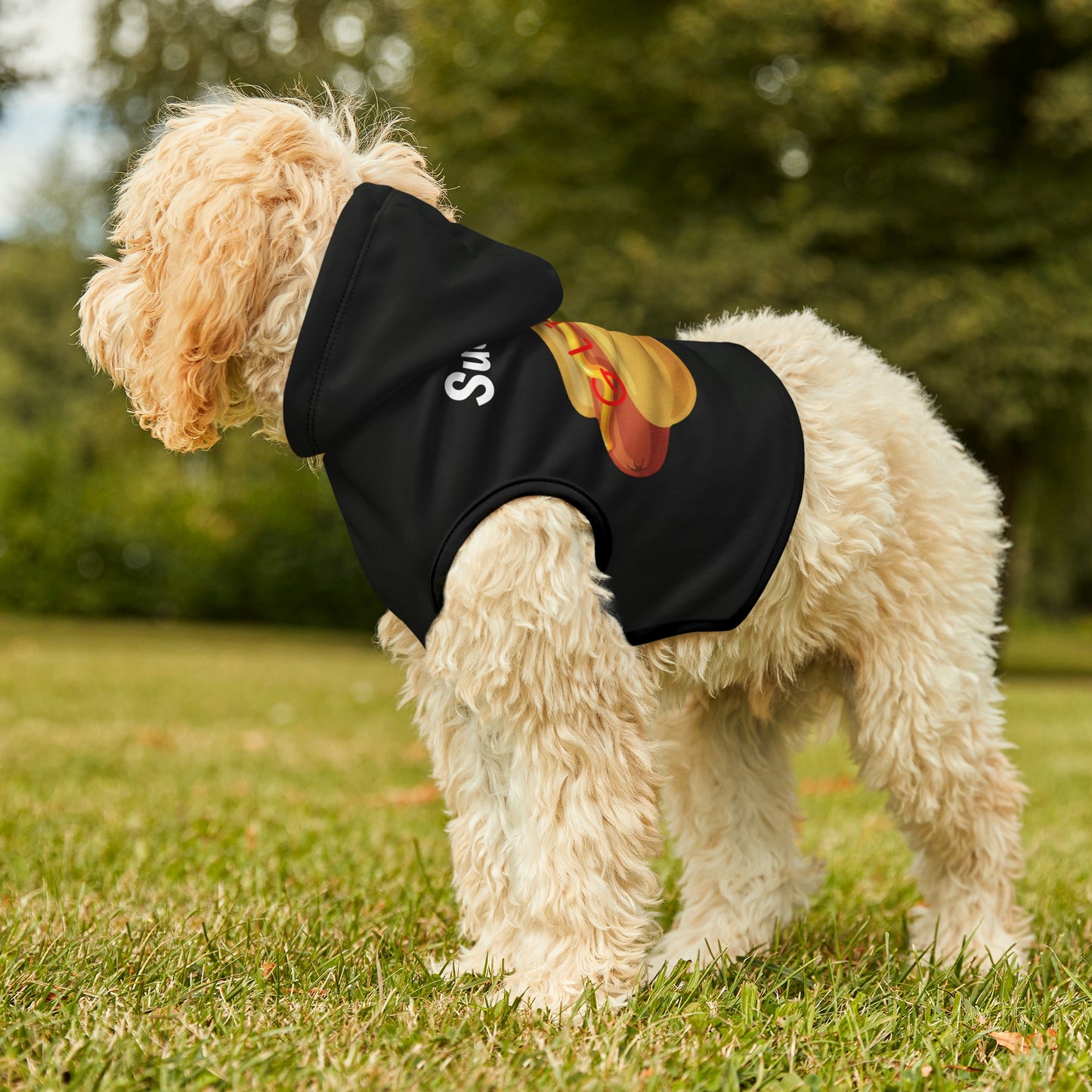 Dog Hoodie